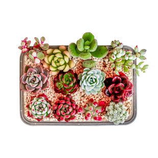 好货满减劲爆秒杀万张优惠券,品牌优惠券大放送29.9