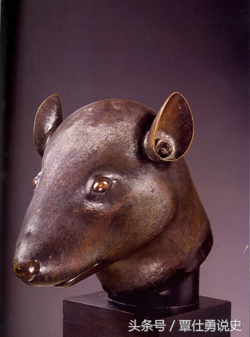 娉曞浗浜烘崱鐭冲ご鎷嶅崠,娉曞浗浜烘媿鍗栦笘鐣屾澂濂栫墝