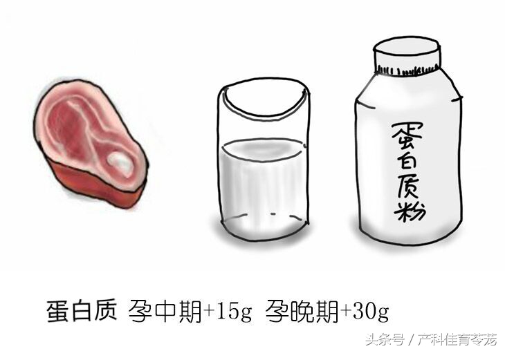 怀孕了吃什么不好,怀孕了吃什么不长胎