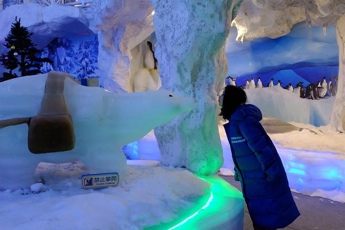 爱旅行爱生活之海南三亚蜈支洲,爱旅行游记攻略