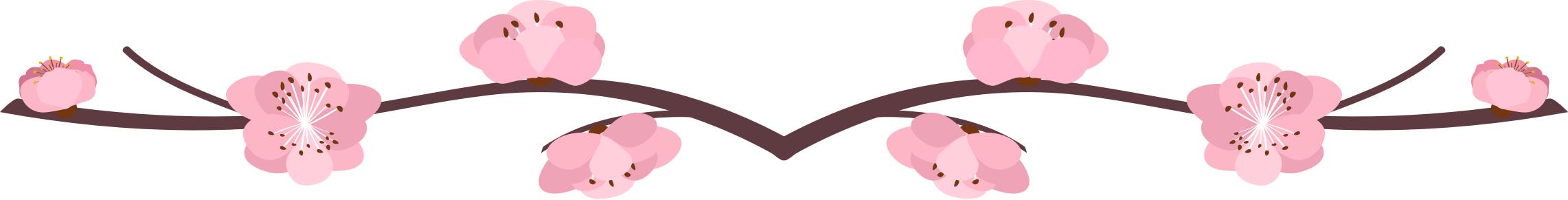 中国四大名亭完整视频,中国四大名亭全景