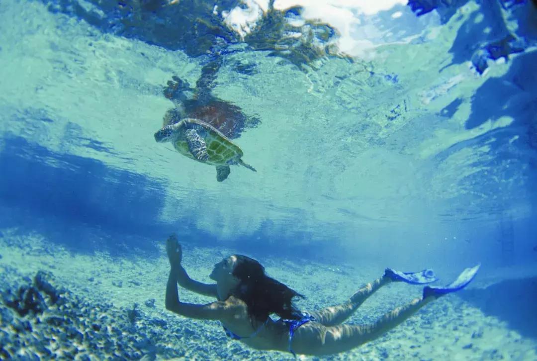 帕劳旅游攻略潜水点,帕劳自由行最值得去的潜水天堂