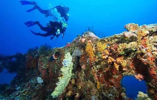 帕劳旅游攻略潜水点,帕劳自由行最值得去的潜水天堂