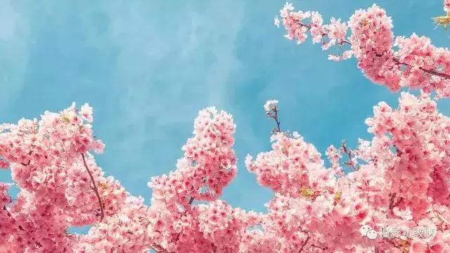 手机照片怎么修图教程,手机修图技巧教程高级感