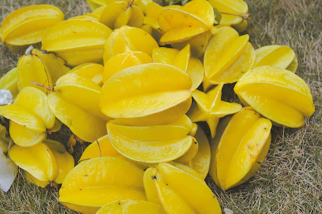 秋冬季润肺止咳的食物有哪些,春季什么水果润肺效果最好