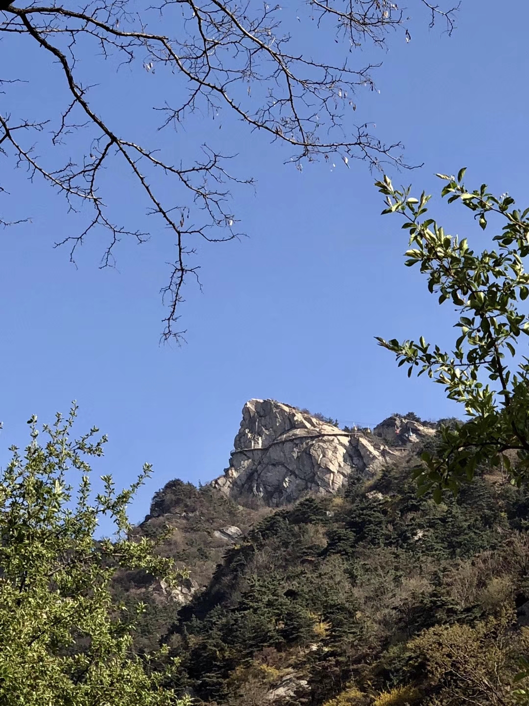 旧身份证与新身份证号码不一致,学历身份证与目前身份证不一致