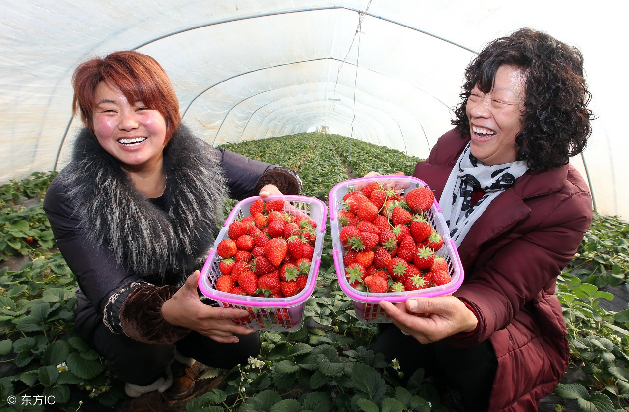 示范家庭农场申报条件,家庭农场申报条件