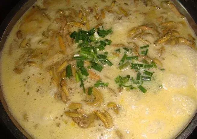 细长的白色水虫,东北小水虫