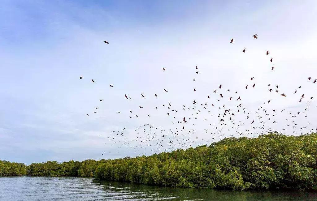 碧海蓝天椰风海韵阳光沙滩,碧海蓝天度假天堂
