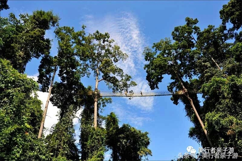 到版纳一定要体验一场泼水狂欢,云南景洪泼水节之旅