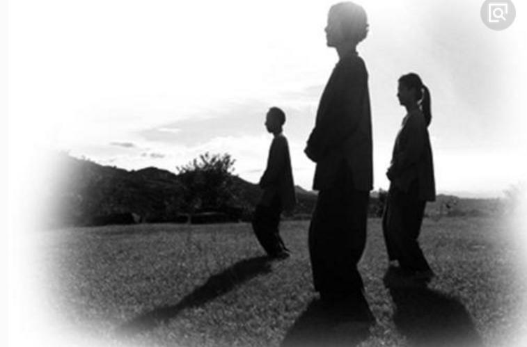 大成拳站桩和坐桩的区别,大成拳站桩练的是什么力