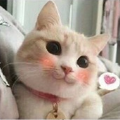 给女朋友买什么香水,情人节礼物迪奥口红香水