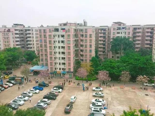 私立华联学院在全国的排名,私立华联学院是正规大学吗