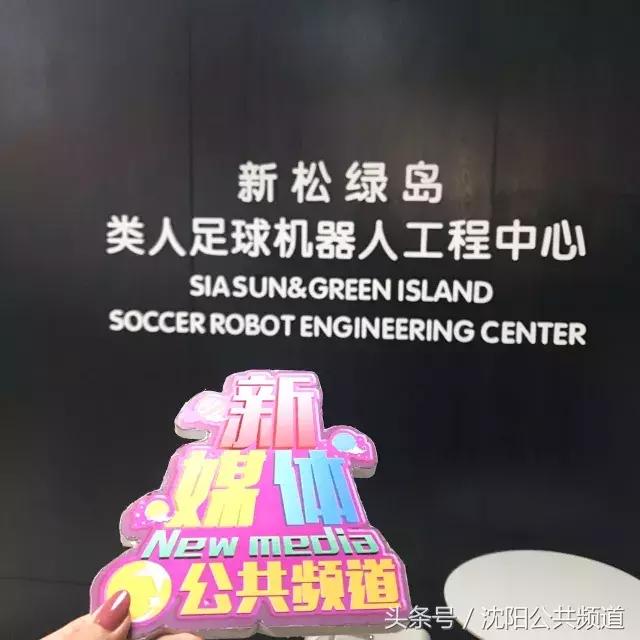 机器人足球大赛2019,机器人足球赛中国金牌