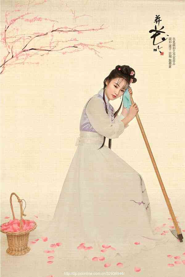 随笔摘抄精美古诗简短,葬花随笔