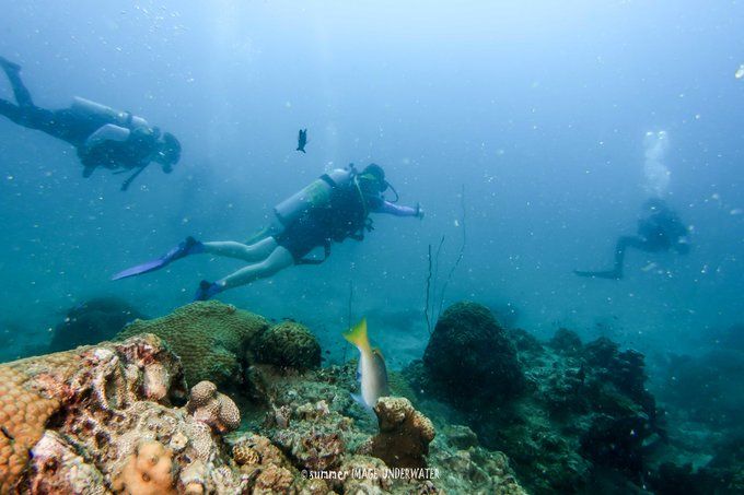 囧途：涛岛OW+AOW（高氧）考证之旅