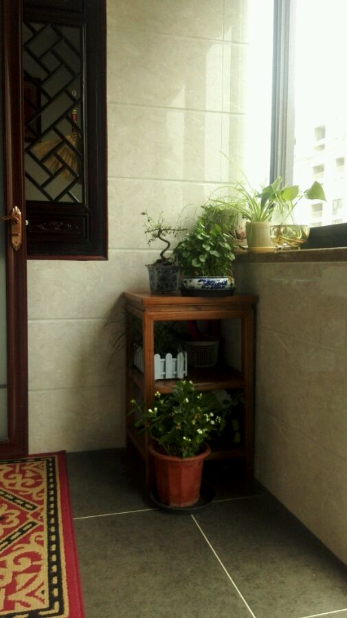 还是专业的拍的好看，新中式美家已入住2个月了，两个字完美！