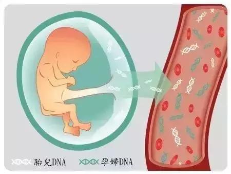 无创产前基因检测（NIPT）作用巨大