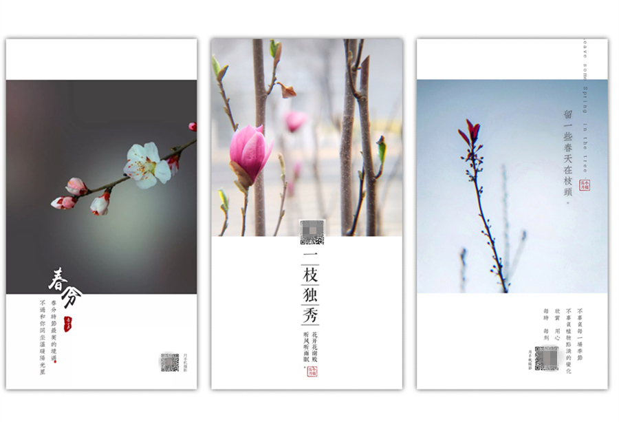 手机怎么识别二维码图片,苹果手机怎么识别图片二维码