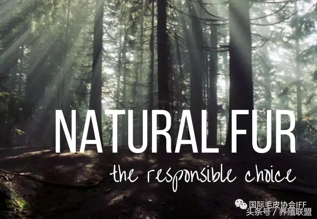 是时候揭开人造皮草的真面目了
