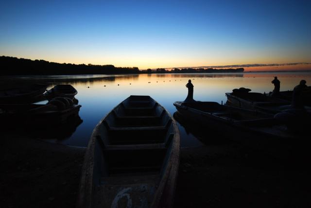 野生狼最多的地方去哪,哈尔滨野狼湖露营