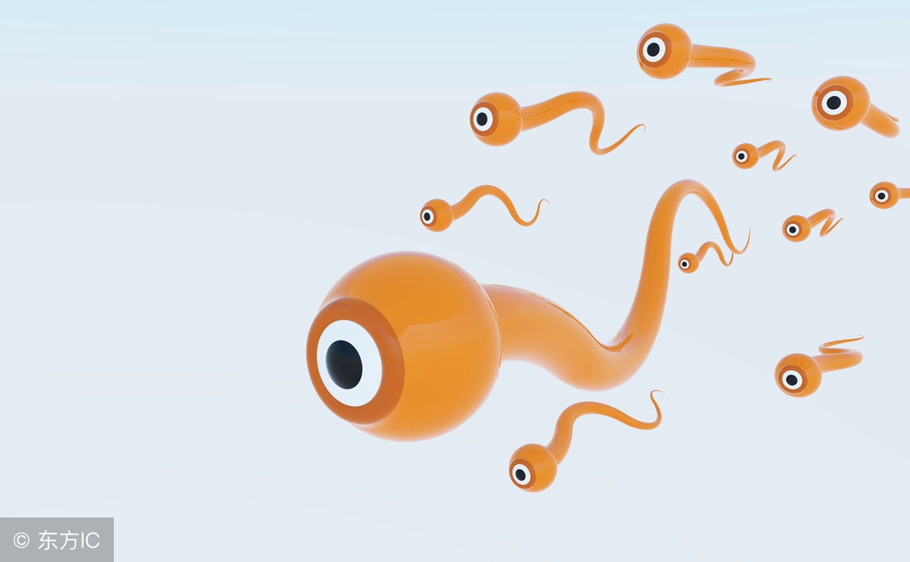 备孕成功的十大常识,备孕知识备孕成功的五个最佳时期