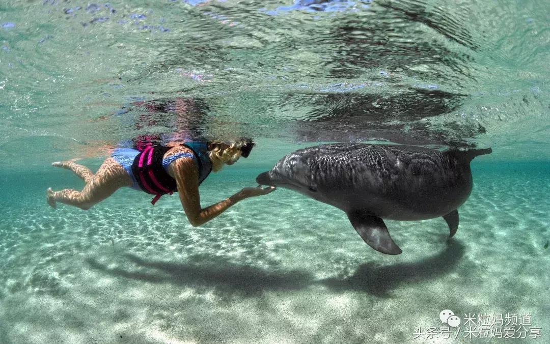 夏威夷怎么跨岛旅游的,夏威夷何时旅游最好