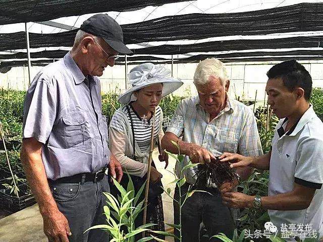 盐亭籍企业迈向国际｜卉菩园艺同荷兰客商签订1200万合作协议