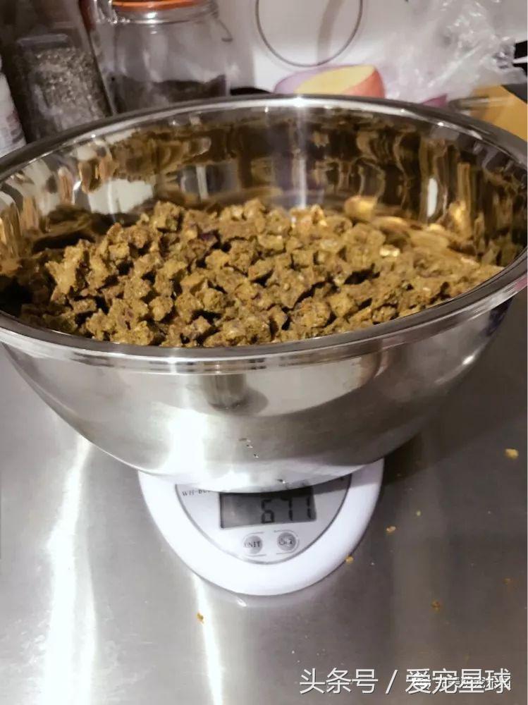 幼犬狗粮自制狗粮教程,怎么给狗自制狗粮器