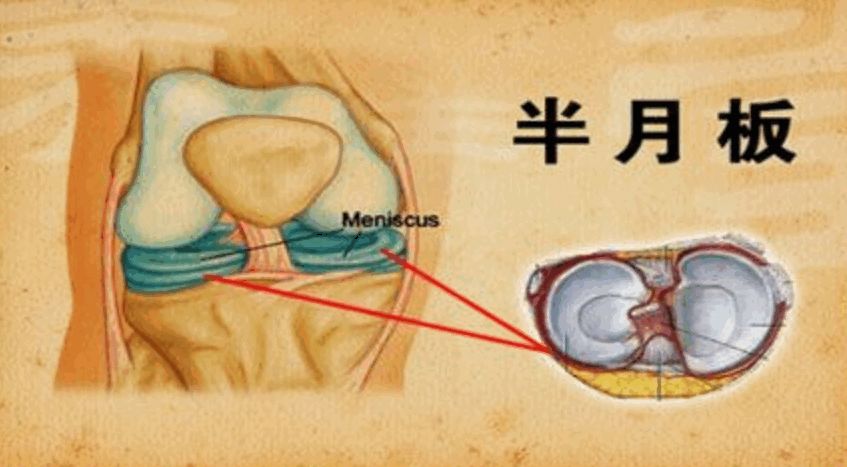 正确的跳绳姿势不会伤到膝盖,不正确的走路姿势引起膝盖疼