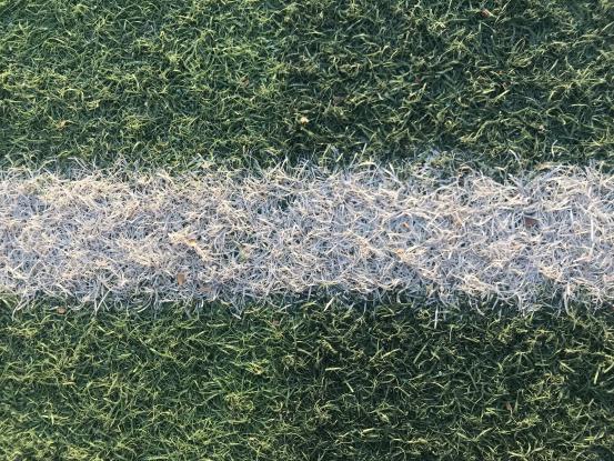 不要只看国外的基础设施，看看我国的小学厉害不厉害！