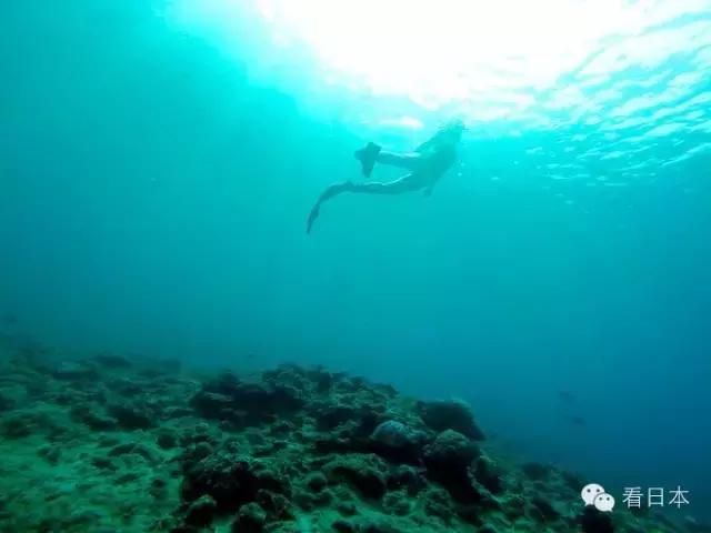 冲绳游玩,冲绳游玩攻略视频