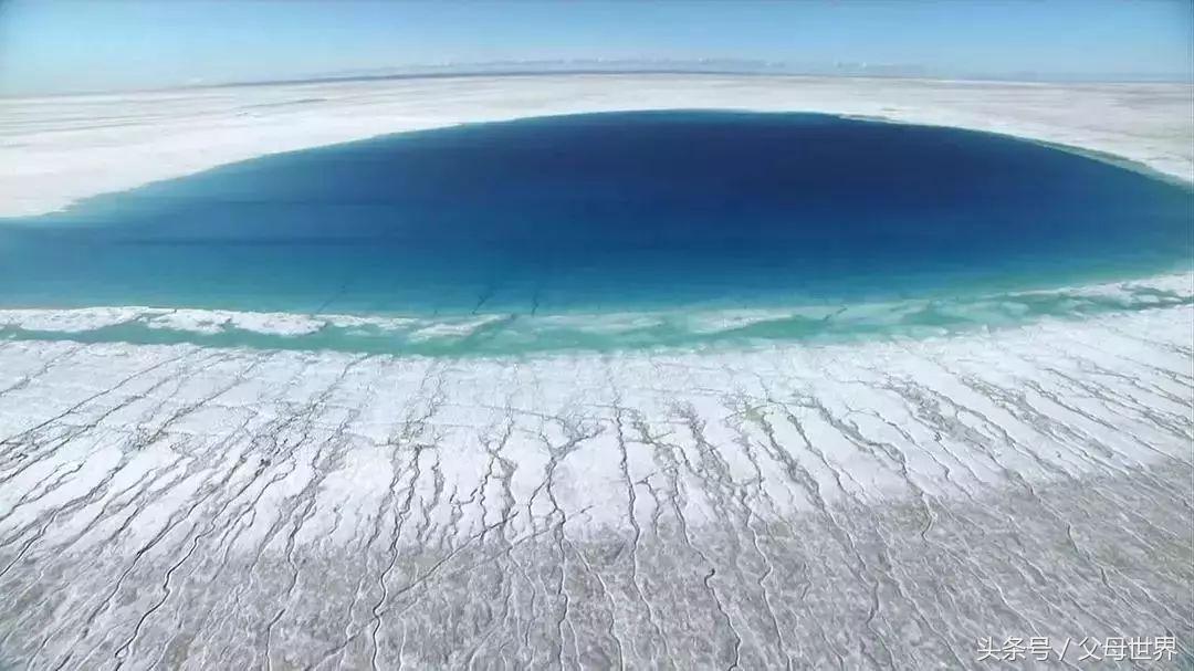 世界地球日，最适合孩子看的18部自然纪录片，趁周末，带娃看起来