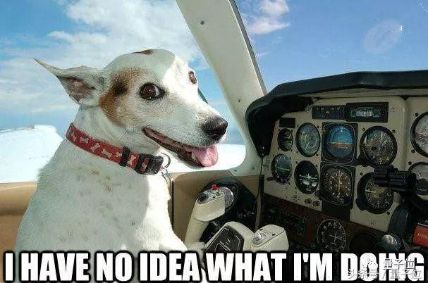 写给准备跳槽的前端,写给准备跳槽的文章