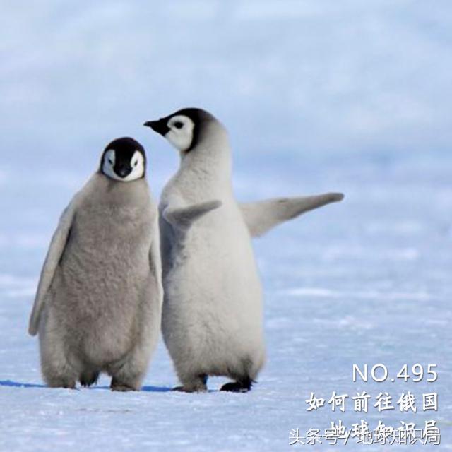 去一趟美国有多难,去一趟多伦多要准备什么