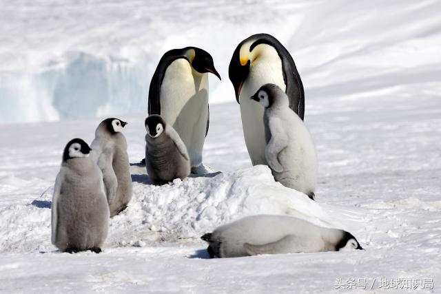 往南走，中国人走了这么远终于找到了……｜地球知识局