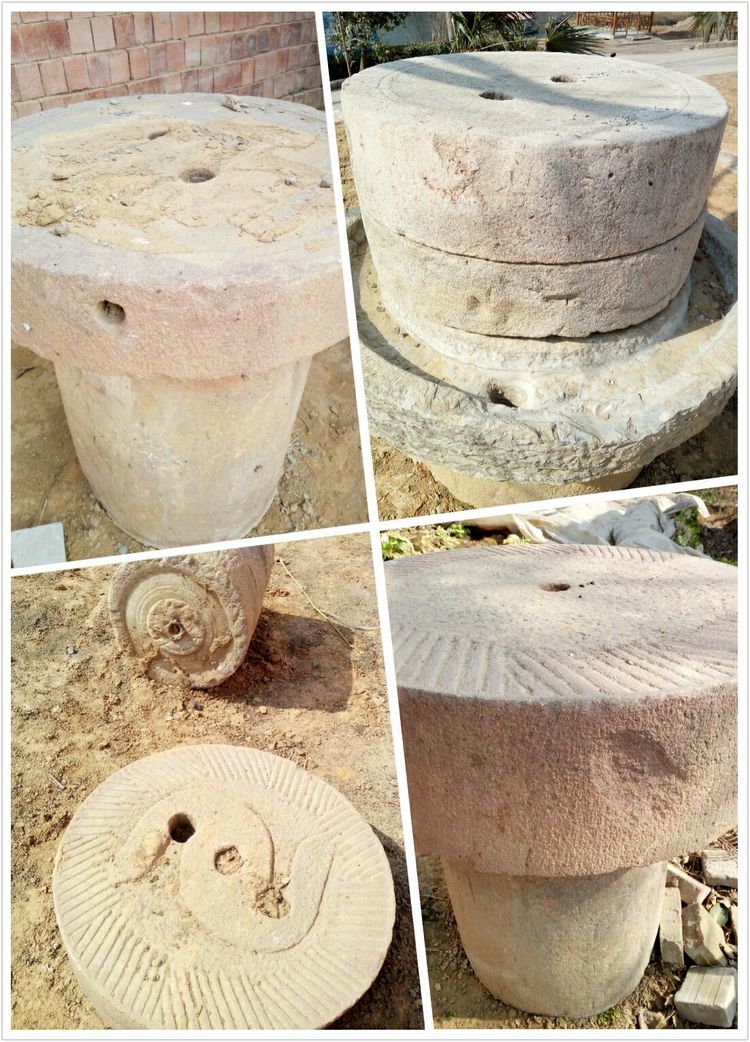 收藏的乐趣在哪里,收藏的乐趣优秀作文