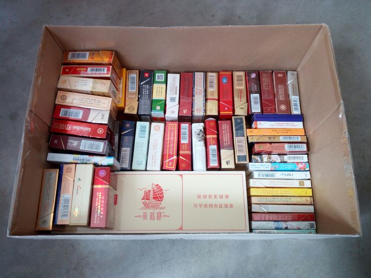 收藏的乐趣在哪里,收藏的乐趣优秀作文