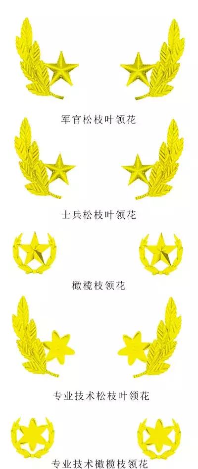 海军的一些标志,海军各类标识