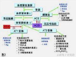 高血压合理用药指南第二版答案,高血压药卡托普利怎样吃法