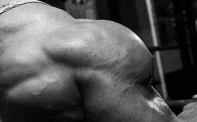 瘦子是吃增肌粉还是蛋白粉好,瘦子增肌吃增肌粉还是蛋白质粉