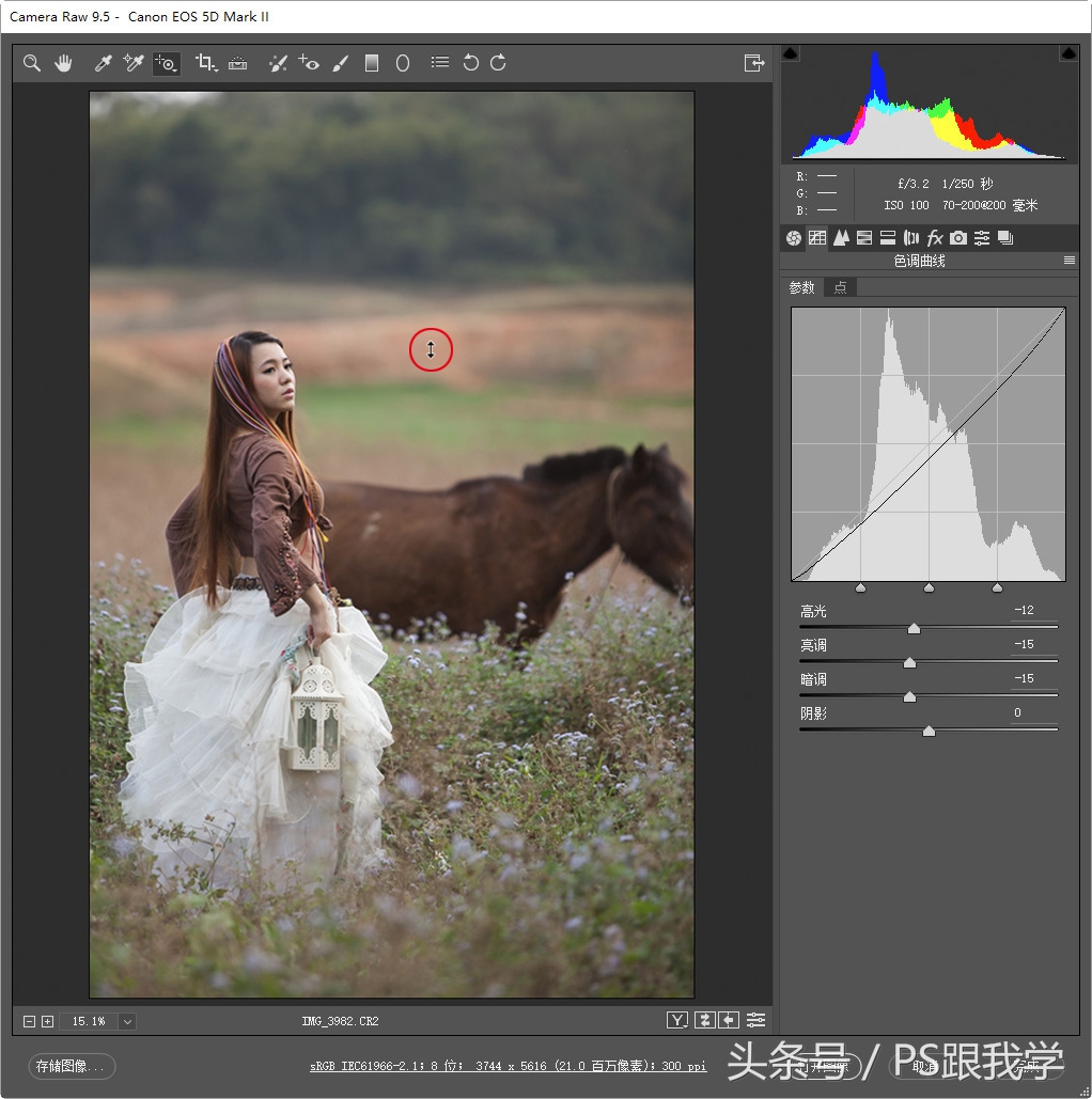 adobecameraraw工具怎么添加,cameraraw首选项怎么设置
