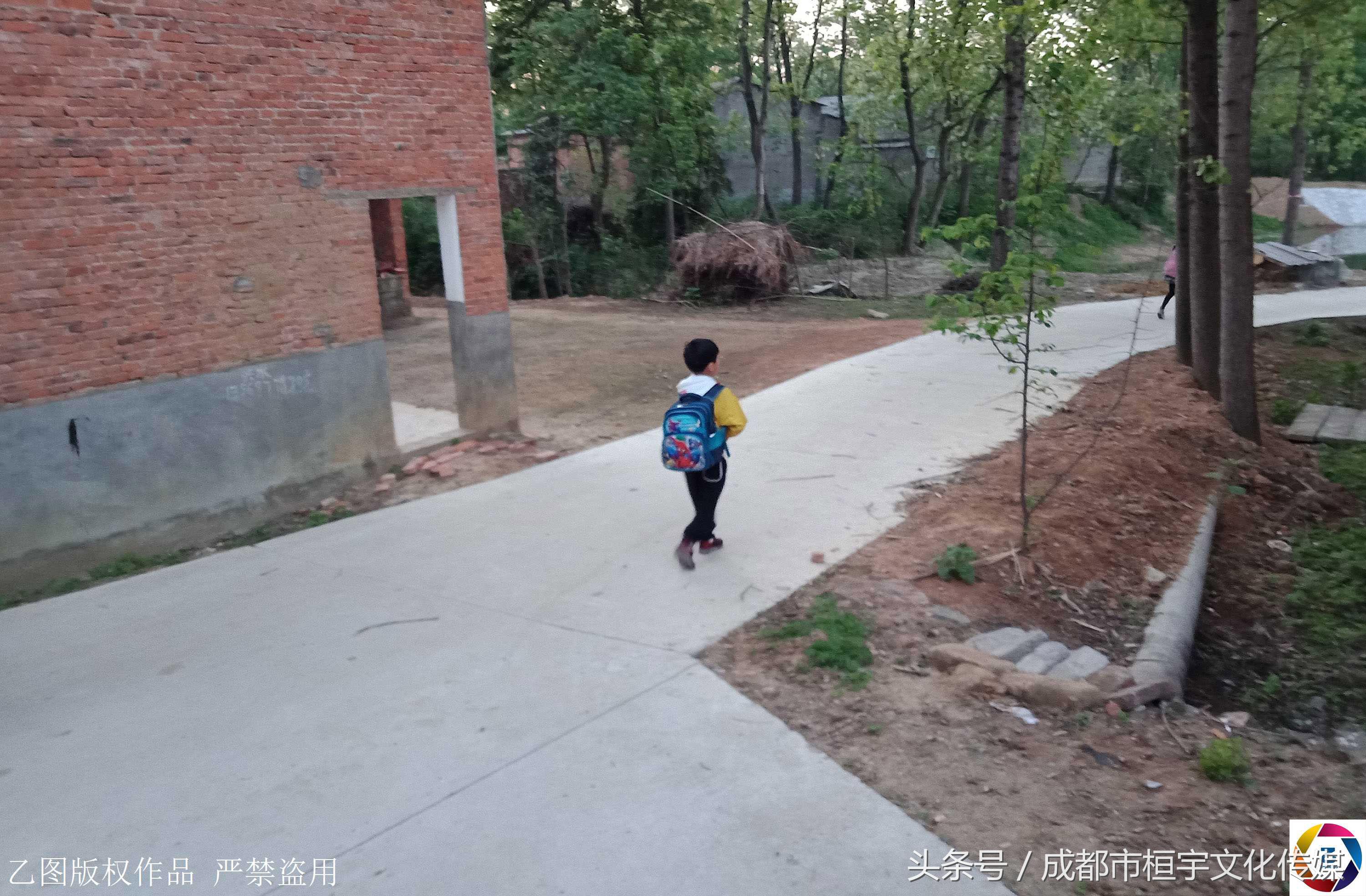 7岁男童每天放学采茶挣钱给哥哥治病，一天仅卖3元钱