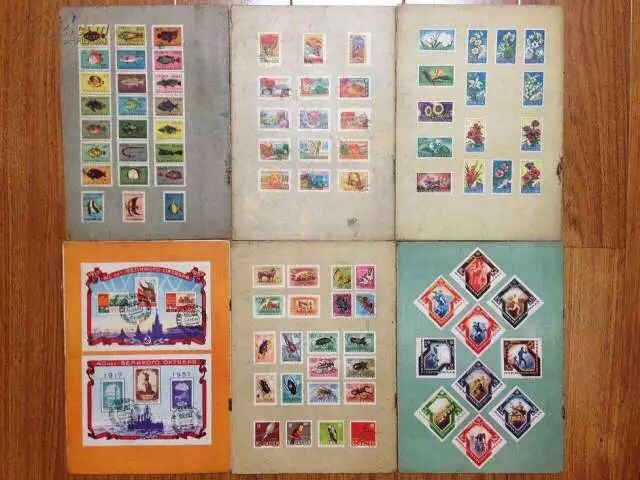 西部世界1到2季解析,西部世界生存技巧