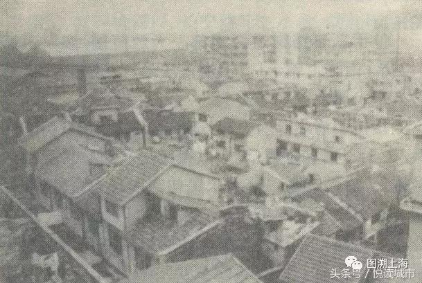 悦读城市,悦读城市完整版