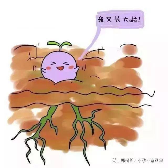 这4个特征表示你怀孕了,哪些变化提示成功受孕了