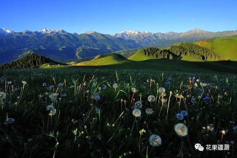 2022年乌鲁木齐5月1日放假几天,乌鲁木齐市周六日都放假了吗