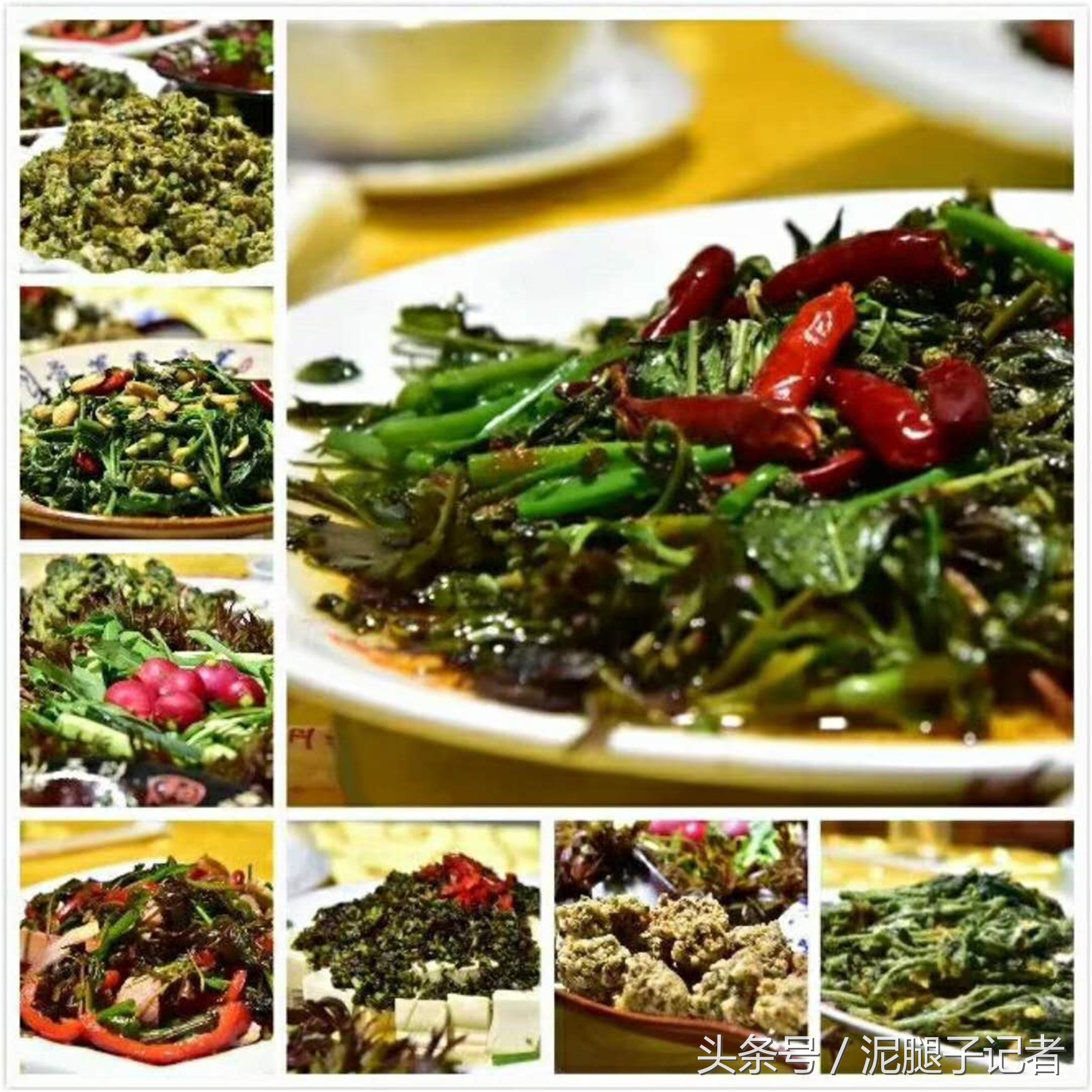 这位农村大哥真能整，用香椿做了一桌子菜，不重样