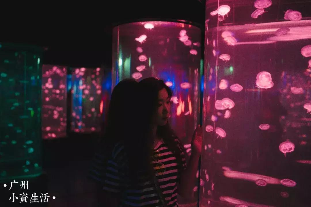 巴南海洋公园一日游攻略 (香港海洋公园游玩攻略)