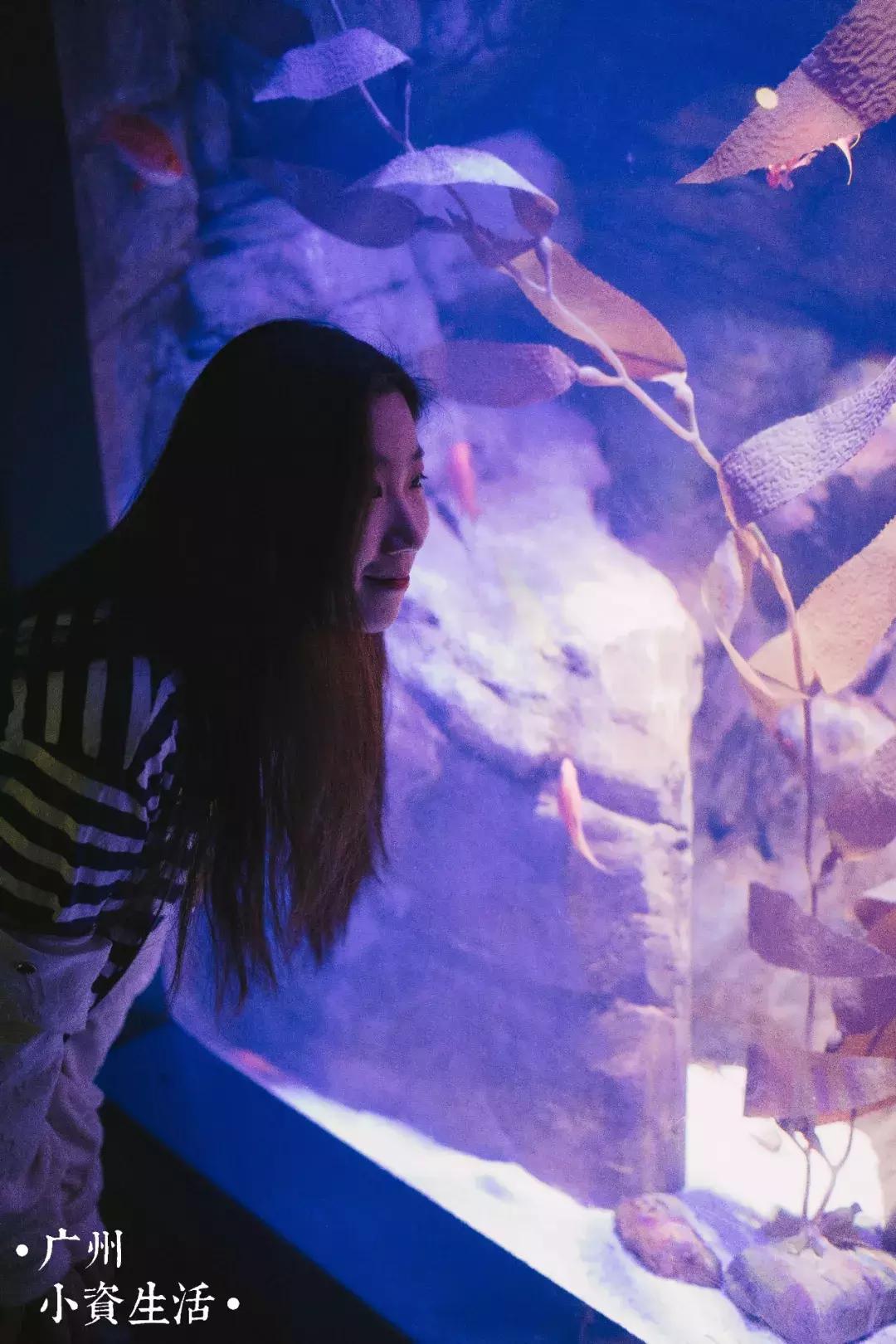 巴南海洋公园一日游攻略 (香港海洋公园游玩攻略)